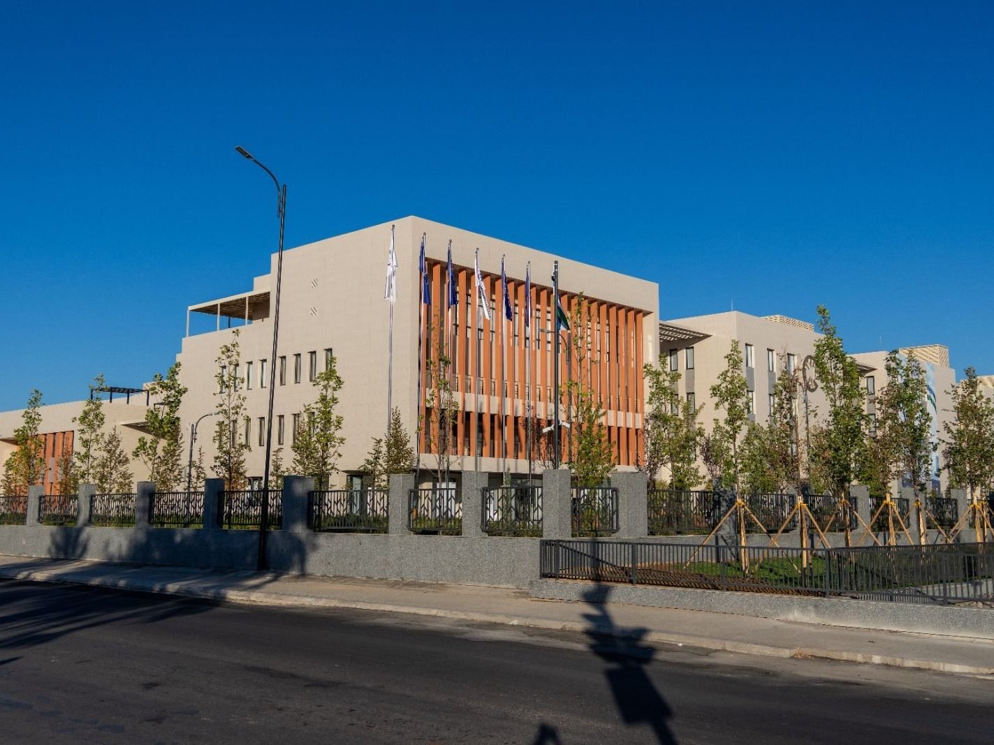 Международная школа иностранных языков