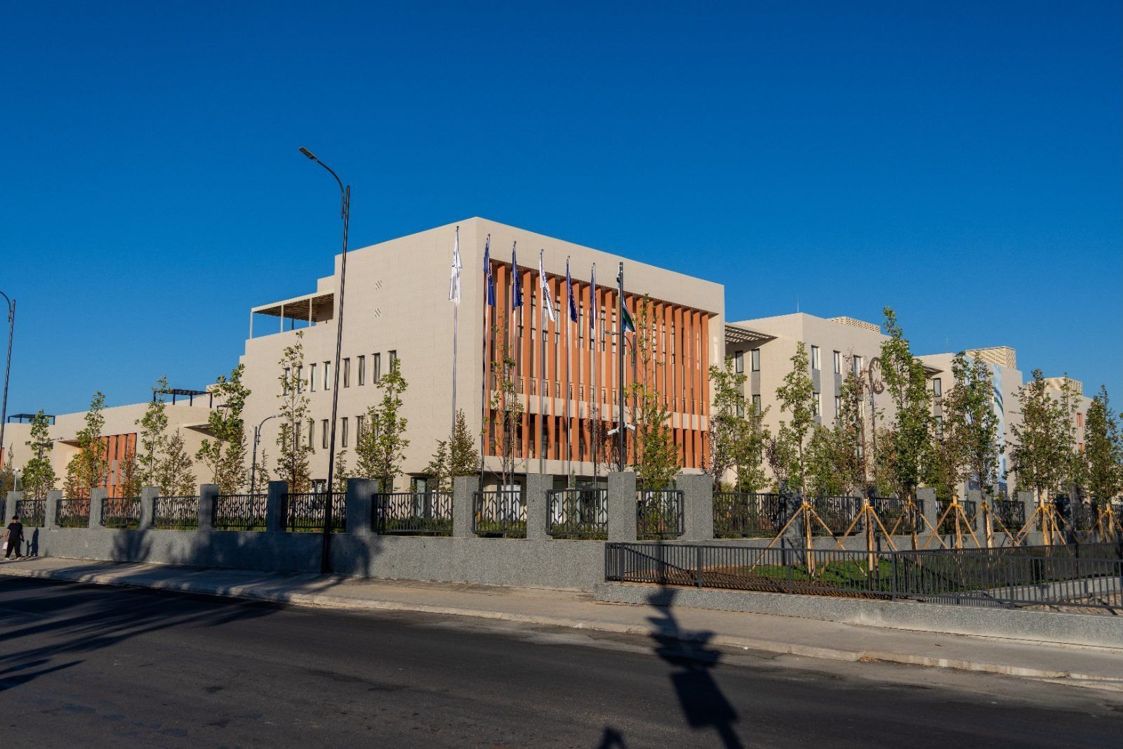 Международная школа иностранных языков